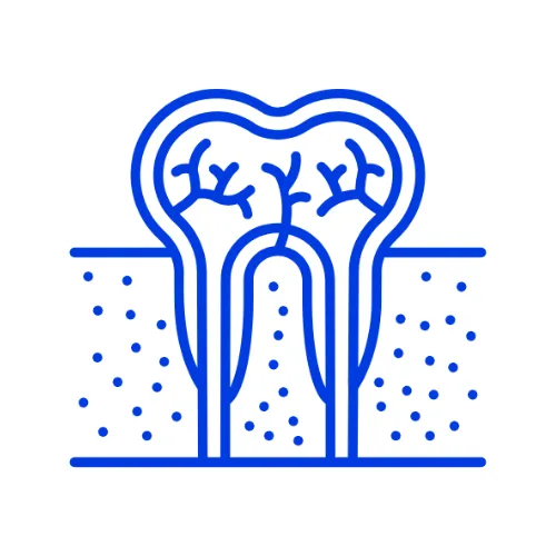 Sub Gingival Curretage